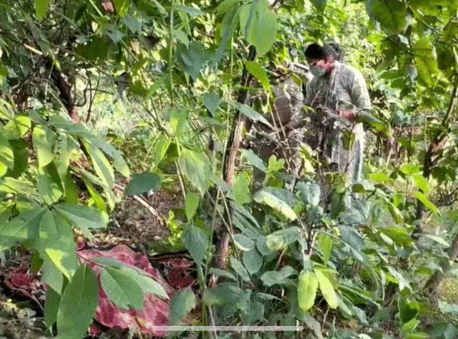 कोरबा में तीन दिन से लापता बच्ची का शव झाड़ियों में मिला, हत्या की आशंका से जांच तेज